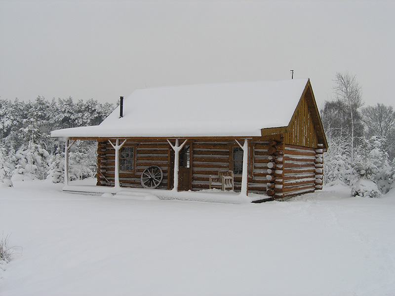 amerikaanse blokhut in winterlandschap