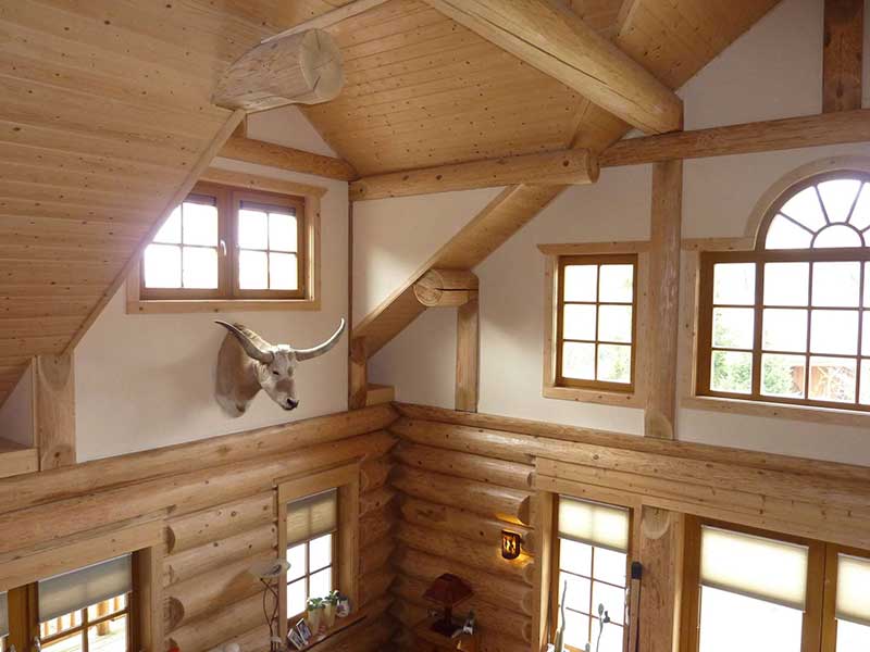 longhorn in woning eigenaren melody ranch