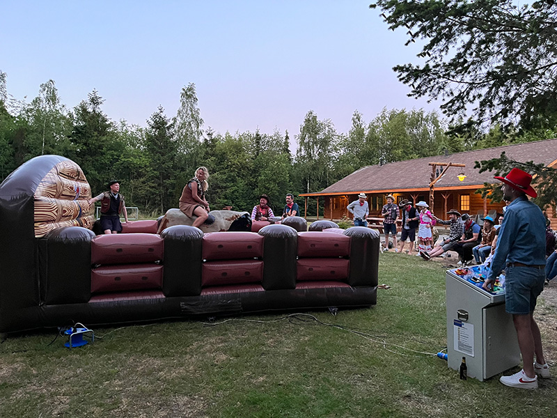 rodeostier bij melody ranch in den ham