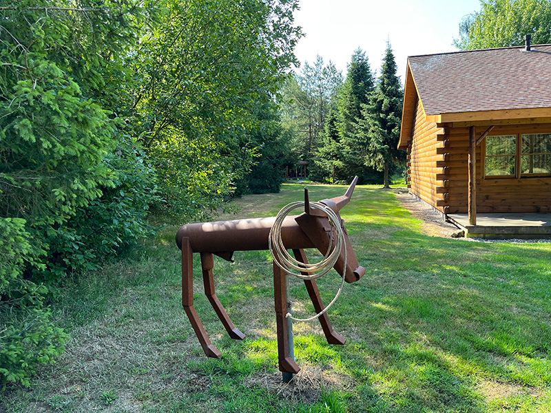 roping calf dummy
